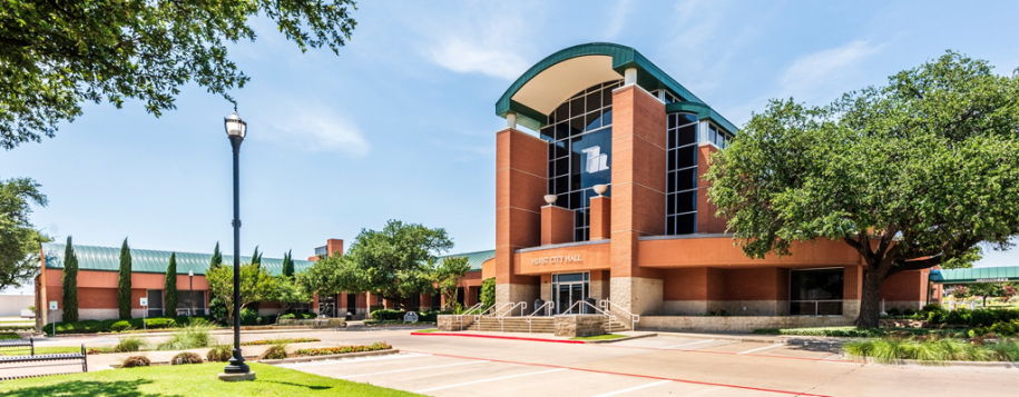 Addison businesses working with custom AI developers